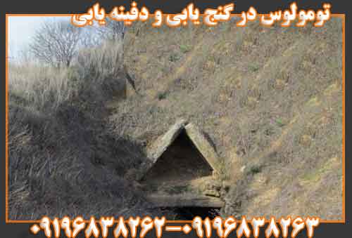 تومولوس در گنج یابی و دفینه یابی