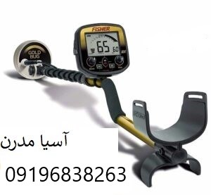 فیشر گلد باگ