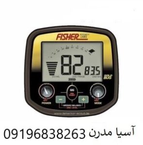 فیشر گلد باگ