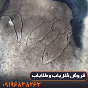 نماد ماهی در دفینه یابی