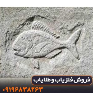 نماد ماهی در دفینه یابی