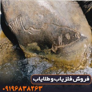 نماد ماهی در دفینه یابی