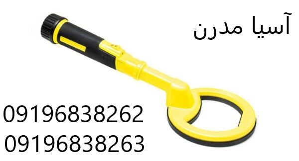 فلزیاب پالس دایو
