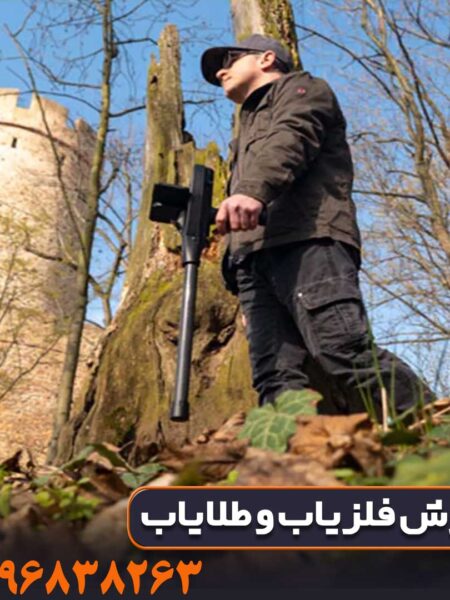 فلزیاب دلتا رنجر
