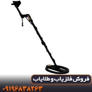 فلزیاب تصویری ای ایکس پی 5500