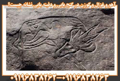 غزال و گوزن در گنج یابی و دفینه یابی نشانه چیست؟