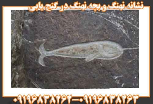 نشانه نهنگ و بچه نهنگ در گنج یابی