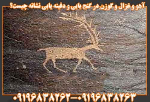 غزال و گوزن در گنج یابی و دفینه یابی نشانه چیست؟