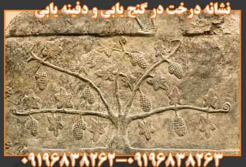 نشانه درخت در گنج یابی و دفینه یابی