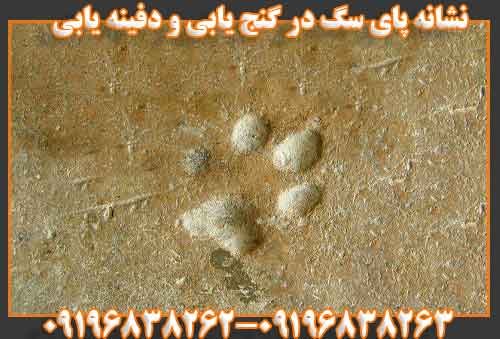 نشانه پای سگ در گنج یابی و دفینه یابی