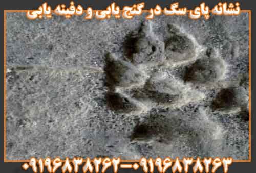 نشانه پای سگ در گنج یابی و دفینه یابی