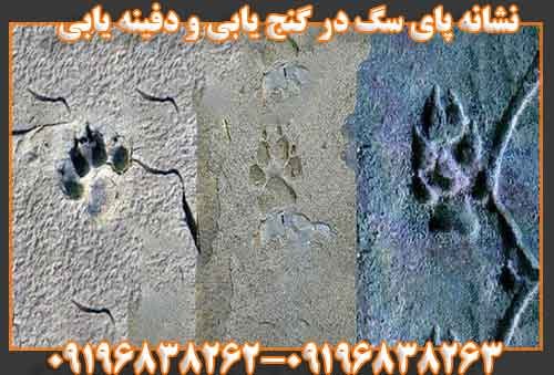 نشانه پای سگ در گنج یابی و دفینه یابی